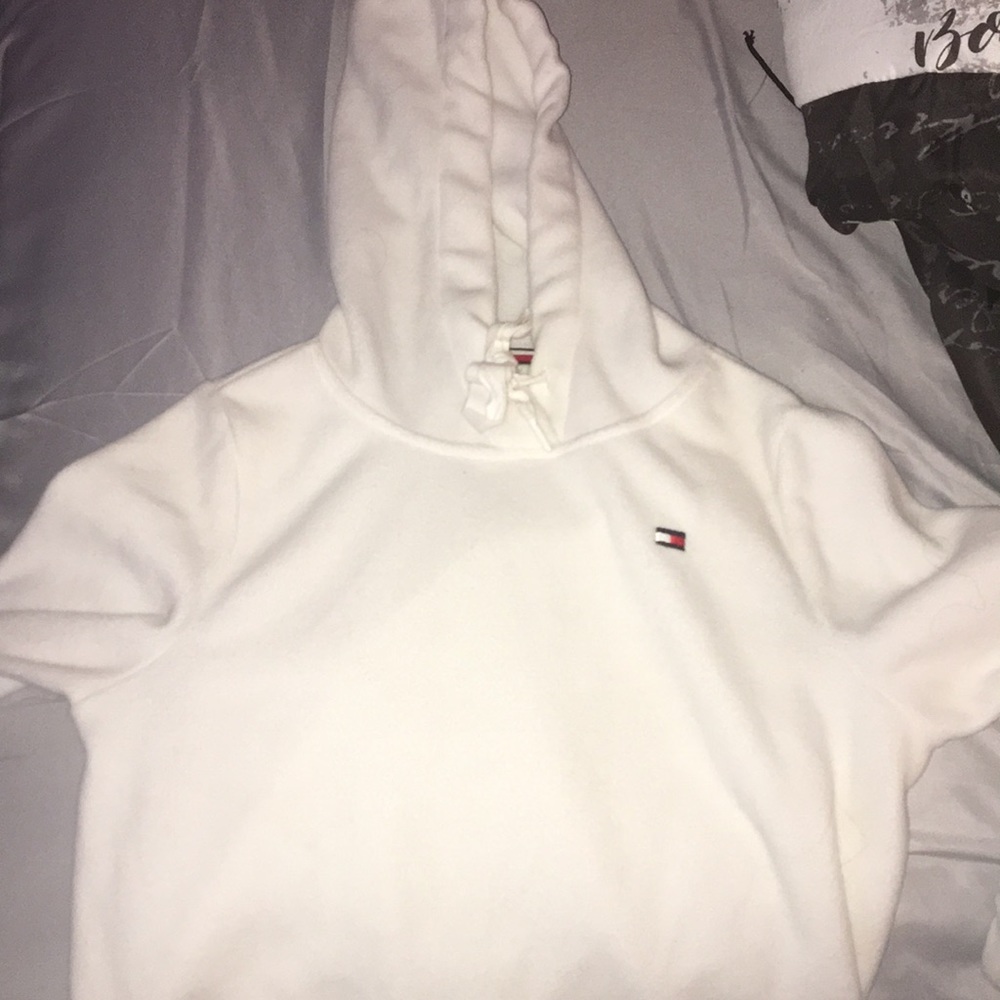 tommy hilfiger hoodie